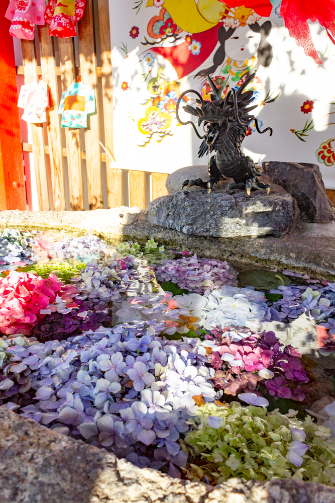 別小江神社、花手水舎、あじさい、6月夏の花、名古屋市北区の観光・撮影スポットの画像と写真