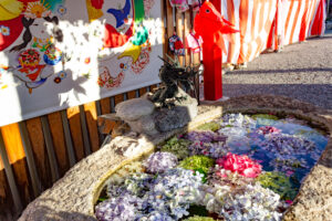 別小江神社、花手水舎、あじさい、6月夏の花、名古屋市北区の観光・撮影スポットの画像と写真