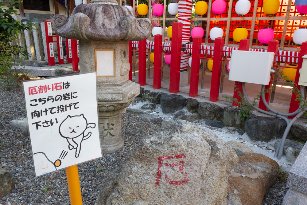 別小江神社、厄割り石、6月夏の花、名古屋市北区の観光・撮影スポットの画像と写真