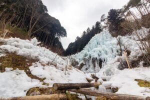 豊田市稲武　氷瀑　大井平公園　湧水広場　2月　愛知県豊田市の観光・撮影スポットの画像と写真