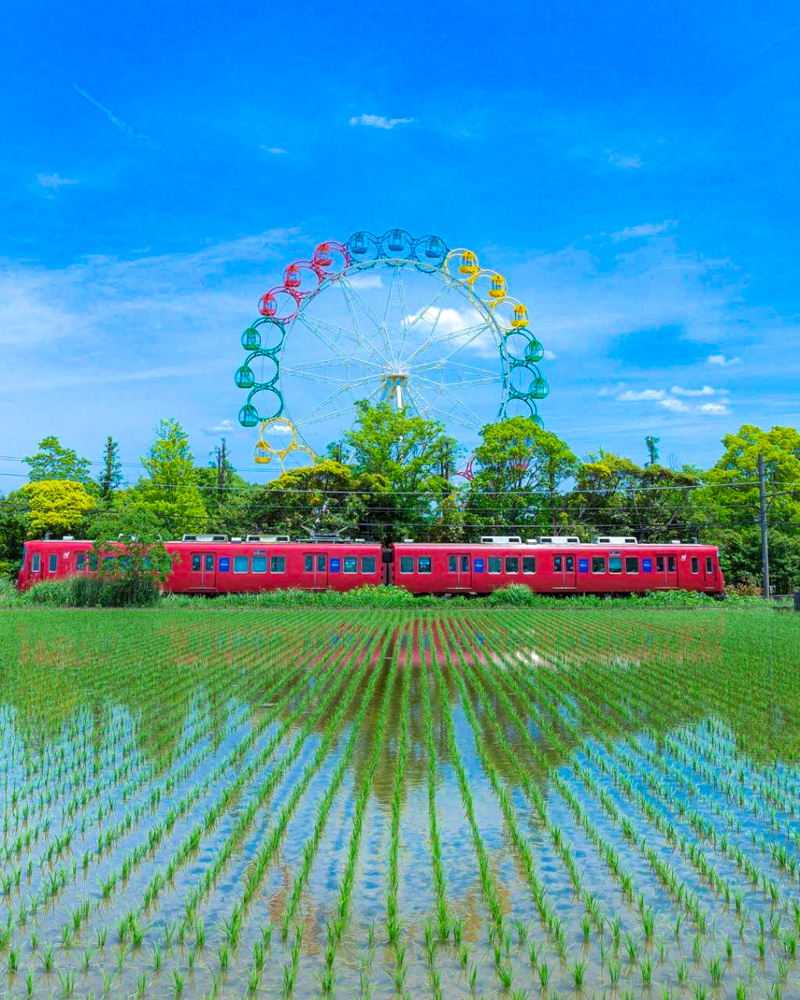 堀内公園 観覧車 田んぼ 愛知県安城市の観光 撮影スポットの名所 東海カメラマップ