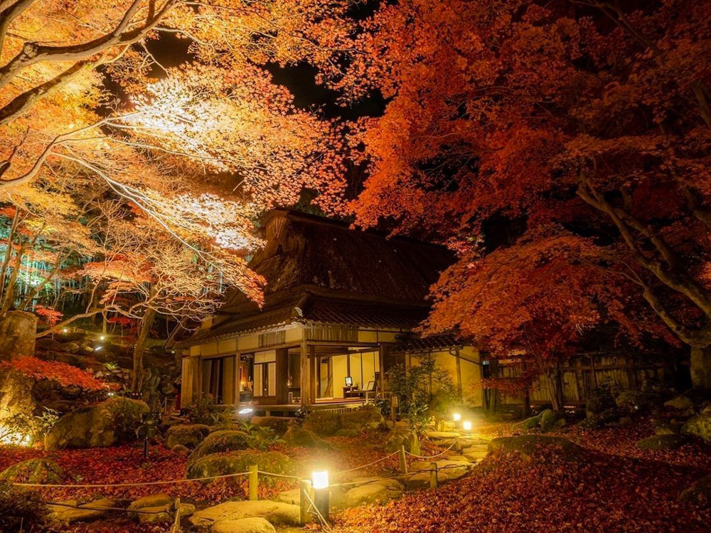 教林坊 紅葉 ライトアップ 滋賀県近江八幡市の観光 撮影スポットの名所 東海カメラマップ 教林坊 紅葉 ライトアップ 滋賀県近江八幡市の観光 撮影スポットの名所 東海カメラマップ