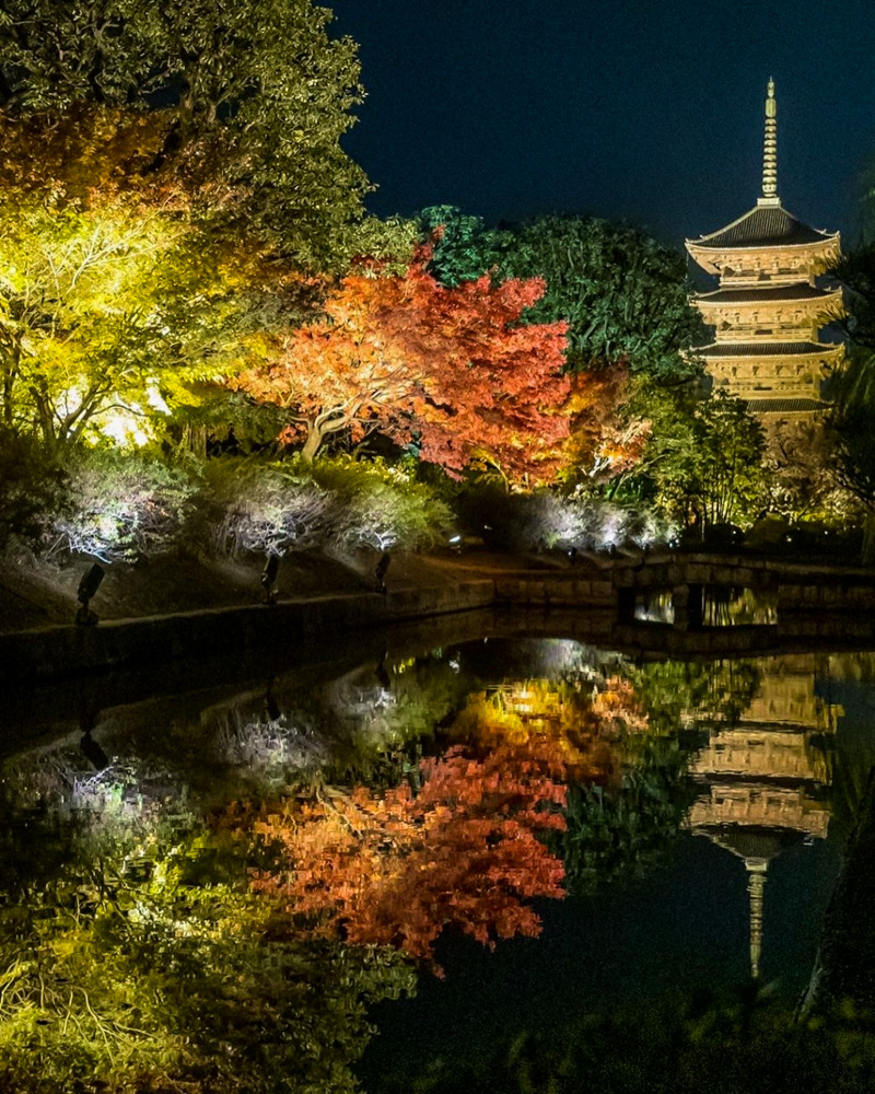 東寺ライトアップ2020 _ 東寺特別拝観ライトアップ – 東寺 京都 ライトアップ 2020 秋 日程 時間は？ – FZLMQM