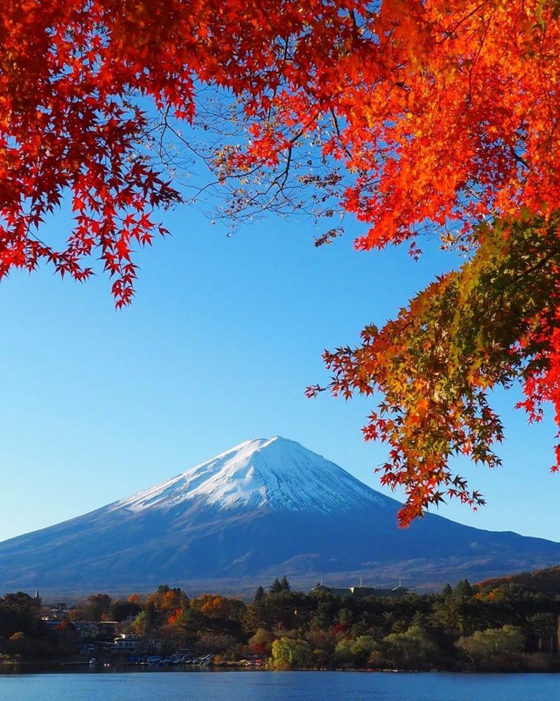 河口湖もみじ回廊付近 富士山 紅葉 山梨県南都留郡の観光 撮影スポットの名所 東海カメラマップ 愛知県 岐阜県 三重県の観光 撮影スポット