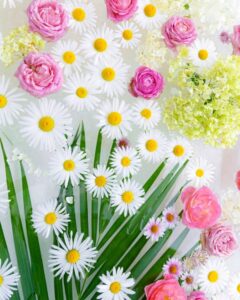 東山動植物園、フローティングフラワー、花手水、夏、夏の花、名古屋市千種区の観光・撮影スポットの写真