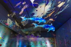 光の切り絵、８月夏、愛知県安城市の観光・撮影スポットの名所
