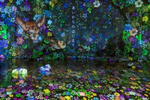 光の切り絵、８月夏、愛知県安城市の観光・撮影スポットの名所