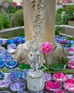 三室戸寺、あじさい、6月夏の花、京都府宇治市の観光・撮影スポットの名所