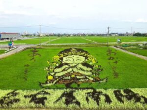南陽町田んぼアート、7月夏、名古屋市港区の観光・撮影スポットの名所