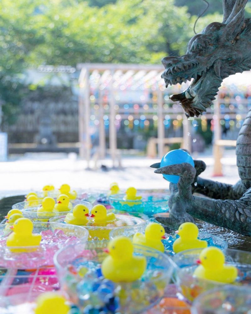 西教寺、花手水舎、７月夏、滋賀県大津市の観光・撮影スポットの名所