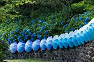 法多山尊永寺、和傘、遠州三山風鈴まつり、6月夏、静岡県袋井市の観光・撮影スポットの名所