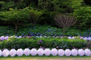 法多山尊永寺、和傘、遠州三山風鈴まつり、6月夏、静岡県袋井市の観光・撮影スポットの名所