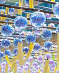 正寿院、風鈴まつり、7月、夏、京都府綴喜郡の観光・撮影スポットの名所