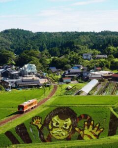 イワクラ公園展望台・田んぼアート、7月夏、岐阜県恵那市の観光・撮影スポットの名所