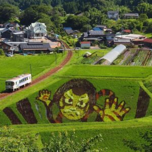 イワクラ公園展望台・田んぼアート、7月夏、岐阜県恵那市の観光・撮影スポットの名所