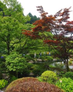 三室戸寺、あじさい、6月夏の花、京都府宇治市の観光・撮影スポットの名所