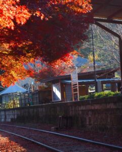 三河広瀬駅 、紅葉、11月秋、愛知県豊田市の観光・撮影スポットの名所