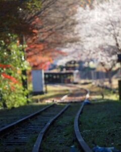 三河広瀬駅 ・紅葉・四季桜、11月秋、愛知県豊田市の観光・撮影スポットの名所