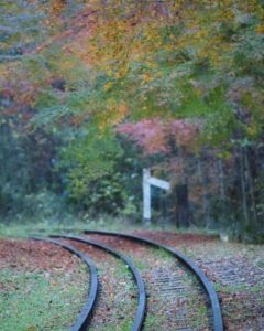 三河広瀬駅 、紅葉、11月秋、愛知県豊田市の観光・撮影スポットの名所