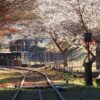 三河広瀬駅 ・紅葉・四季桜、11月秋、愛知県豊田市の観光・撮影スポットの名所