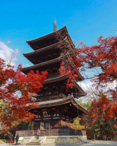 仁和寺 、紅葉、日本庭園、11月秋、京都府京都市の観光・撮影スポットの名所