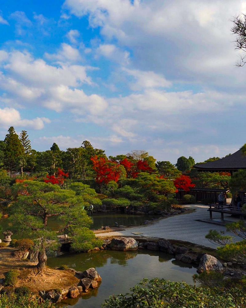 仁和寺 、紅葉、日本庭園、11月秋、京都府京都市の観光・撮影スポットの名所