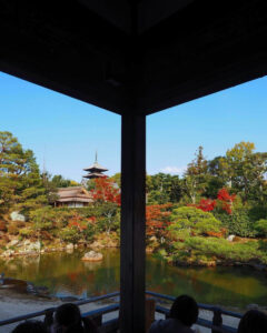 仁和寺 、紅葉、日本庭園、11月秋、京都府京都市の観光・撮影スポットの名所