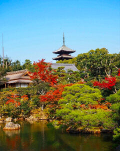 仁和寺 、紅葉、日本庭園、11月秋、京都府京都市の観光・撮影スポットの名所