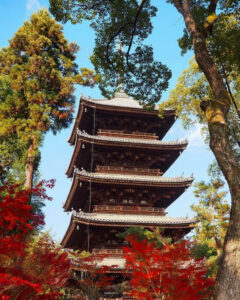仁和寺 、紅葉、日本庭園、11月秋、京都府京都市の観光・撮影スポットの名所