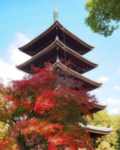 仁和寺 、紅葉、日本庭園、11月秋、京都府京都市の観光・撮影スポットの名所