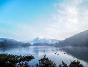 三島池、伊吹山、冬景色、1月冬、滋賀県米原市の観光・撮影スポットの名所