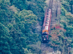 保津峡展望台、トロッコ列車、嵯峨野観光鉄道、嵐山-高雄パークウエイ、11月秋、京都府京都市の観光・撮影スポットの名所