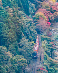保津峡展望台、トロッコ列車、嵯峨野観光鉄道、嵐山-高雄パークウエイ、11月秋、京都府京都市の観光・撮影スポットの名所