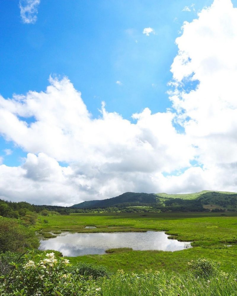 八島ヶ原湿原 、新緑、夏景色　水景色、夏、8月夏、長野県諏訪郡の観光・撮影スポットの名所