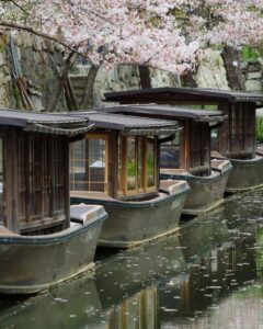 八幡堀めぐり・桜・屋形舟・4月春、滋賀県近江八幡市の観光・撮影スポットの名所