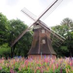 名城公園、ルピナス、5月夏の花、名古屋市北区の観光・撮影スポットの名所