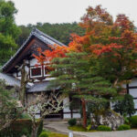 園光寺 、日本庭園、11月秋、京都府京都市の観光・撮影スポットの名所