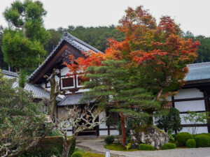 圓光寺、日本庭園、11月秋、京都府京都市の観光・撮影スポットの名所