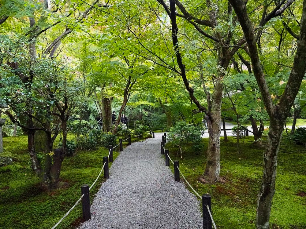 圓光寺、日本庭園、夏紅葉、11月秋、京都府京都市の観光・撮影スポットの名所