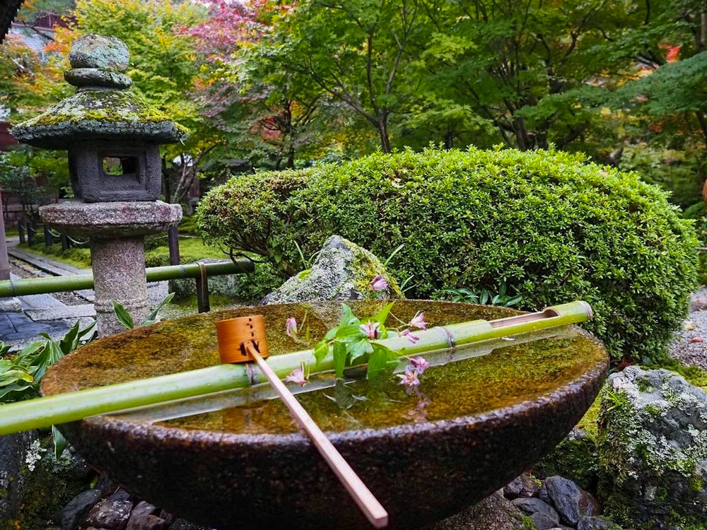 圓光寺、日本庭園、11月秋、京都府京都市の観光・撮影スポットの名所