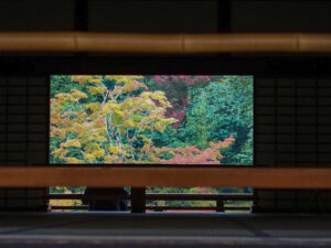 嵯峨嵐山 天龍寺、紅葉、日本庭園、11月秋、京都府京都市の観光・撮影スポットの名所