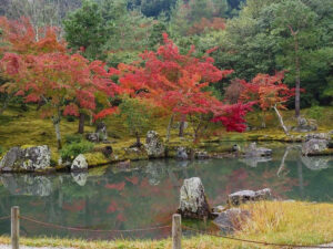 嵯峨嵐山 天龍寺、紅葉、日本庭園、11月秋、京都府京都市の観光・撮影スポットの名所