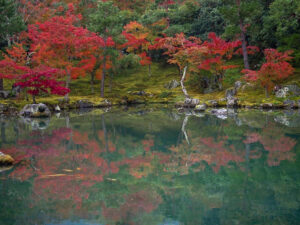 嵯峨嵐山 天龍寺、紅葉、日本庭園、11月秋、京都府京都市の観光・撮影スポットの名所