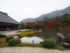 嵯峨嵐山 天龍寺、紅葉、日本庭園、11月秋、京都府京都市の観光・撮影スポットの名所