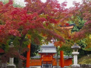 嵯峨嵐山 天龍寺、紅葉、日本庭園、11月秋、京都府京都市の観光・撮影スポットの名所