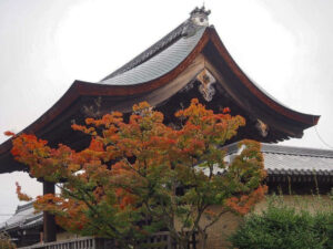 嵯峨嵐山 天龍寺、紅葉、日本庭園、11月秋、京都府京都市の観光・撮影スポットの名所