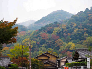 嵯峨嵐山 天龍寺、紅葉、日本庭園、11月秋、京都府京都市の観光・撮影スポットの名所