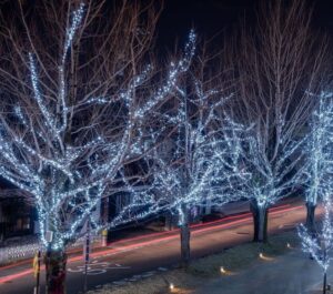 学びの森、イルミネーション、12月、冬、岐阜県各務原市の観光・撮影スポットの画像と写真