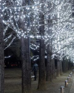 学びの森、イルミネーション、12月、冬、岐阜県各務原市の観光・撮影スポットの画像と写真