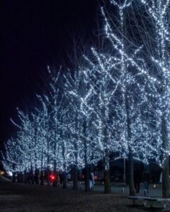 学びの森、イルミネーション、12月、冬、岐阜県各務原市の観光・撮影スポットの画像と写真